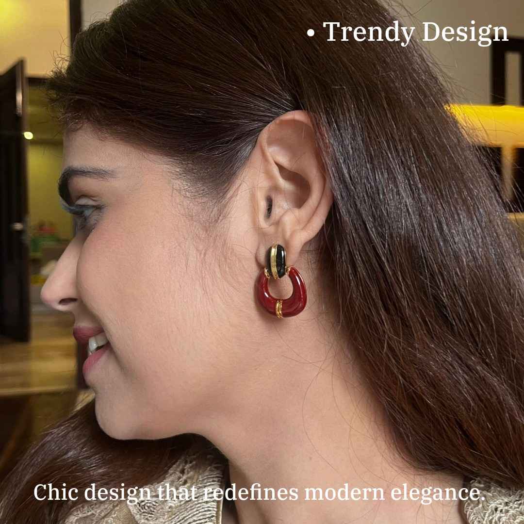 Brown Earrings For Women, Statement Stud Earrings, Black and Brown Design, Gold-Plated, Anti Tarnish, Water Resistant, Lightweight, Gift Packaged